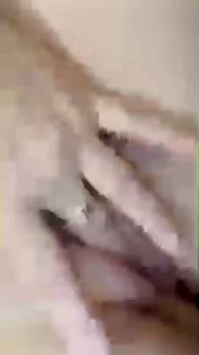 69LoLa