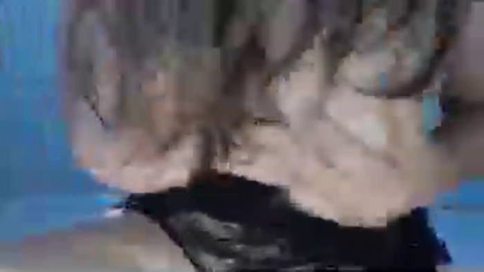 CieloRojo6