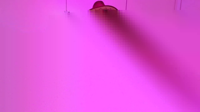 holapixie