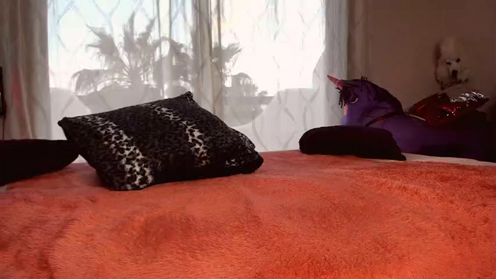 sofimoraxxx