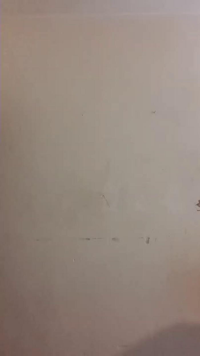 Zarcera69