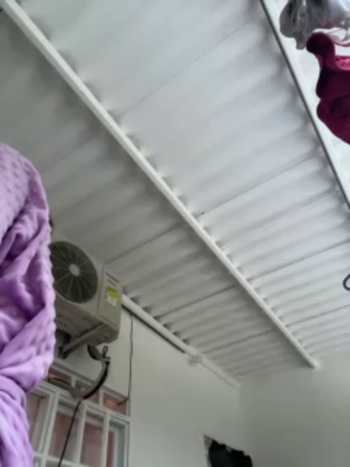 PaulinRoss