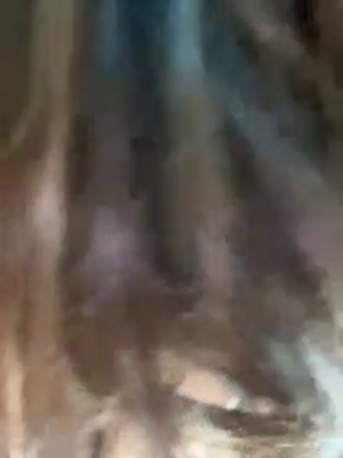 Ellidi