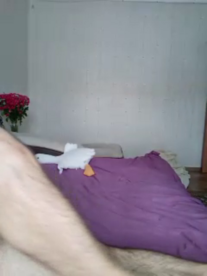 BabyMur