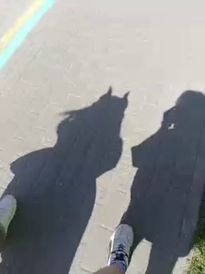 lissazmark2