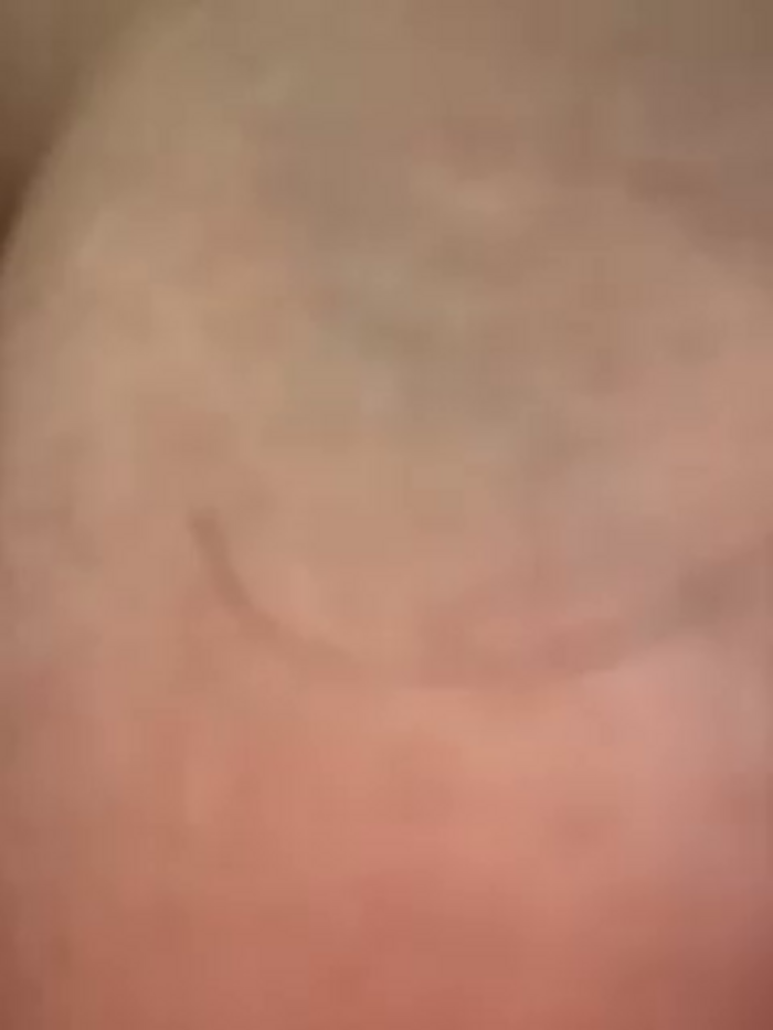 Ellidi