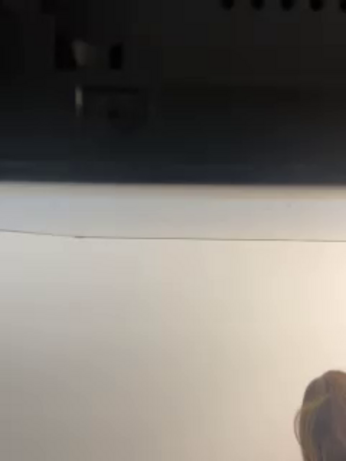 TinyRouse