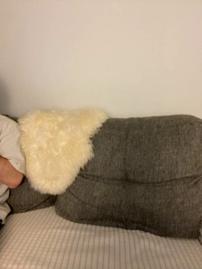PeachPie