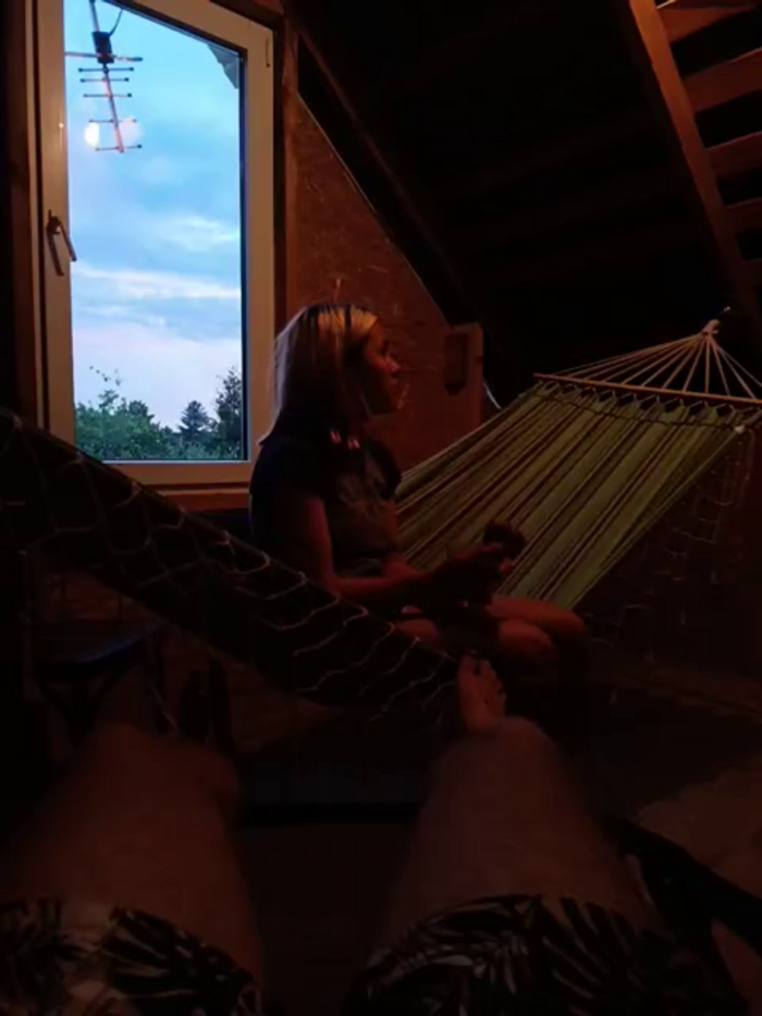 lissazmark2