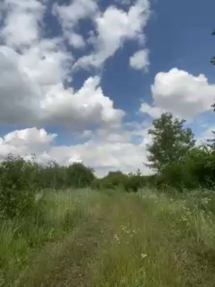SladenkieVmeste