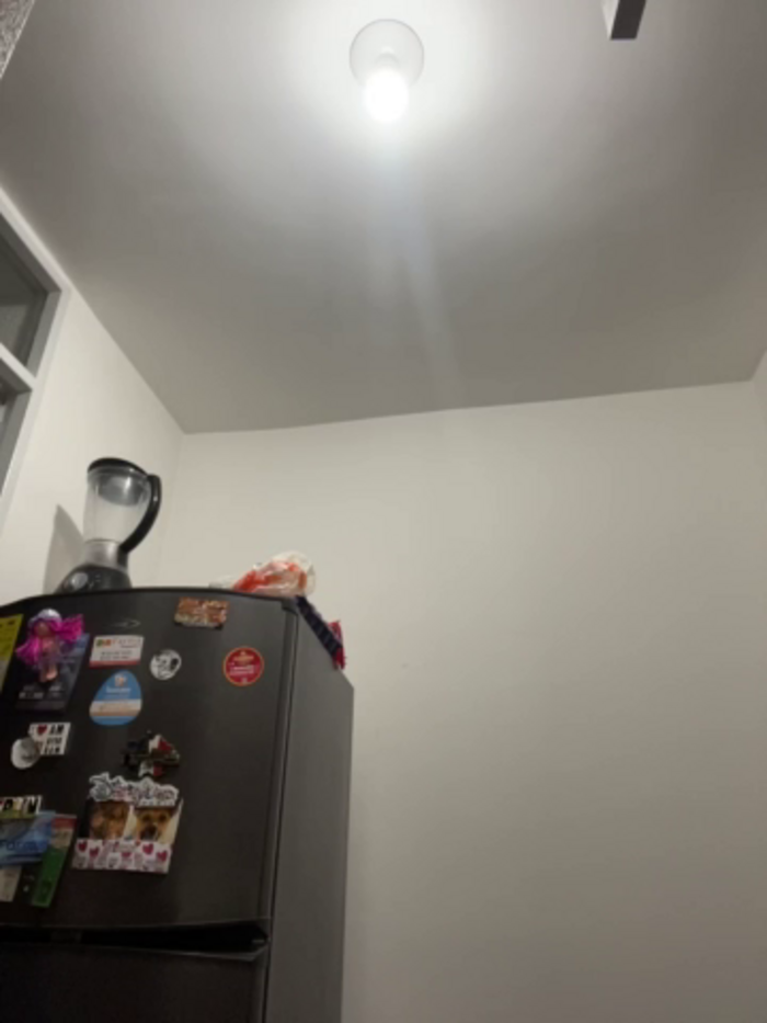 TinyRouse
