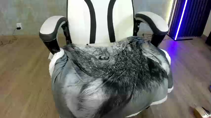 Tina-Turnerr