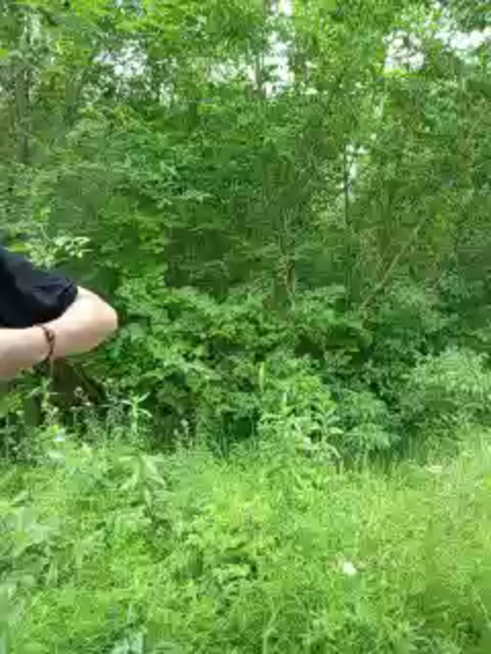 -Pypsiki-