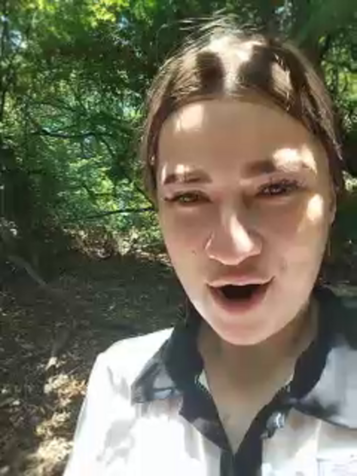 2Laski2