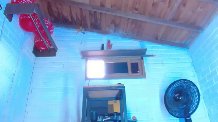nathashabigass