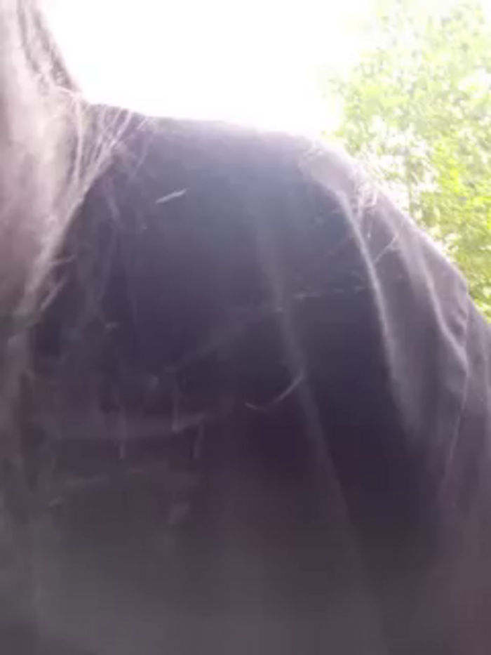 -Pypsiki-