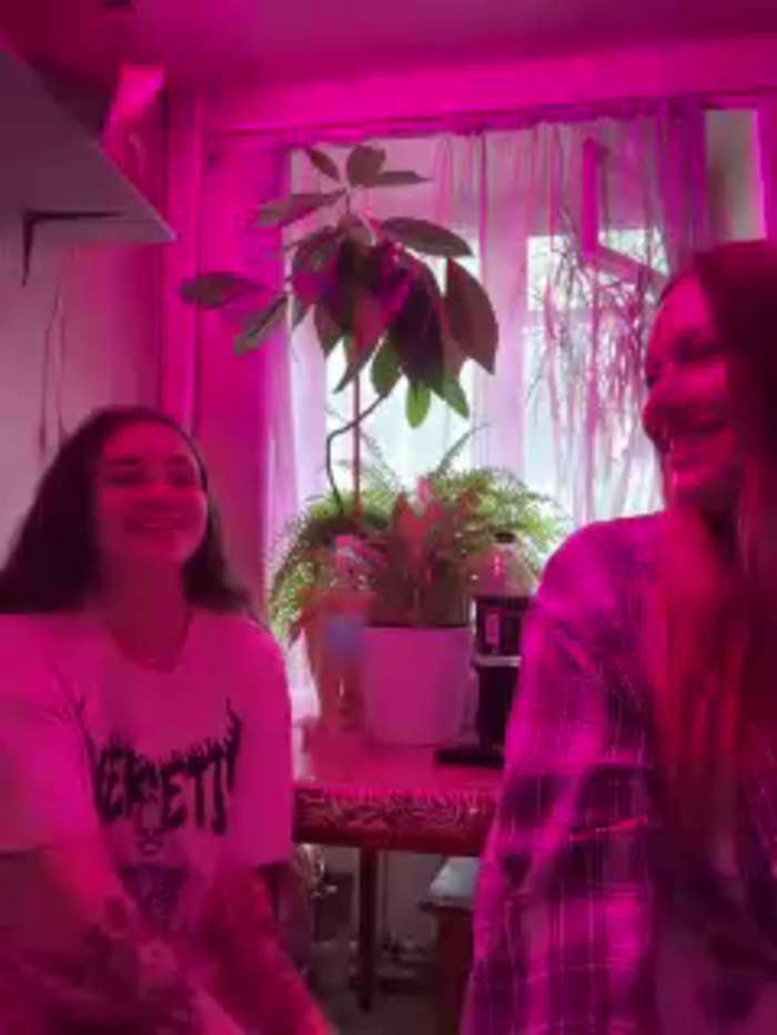 sofi-edvige