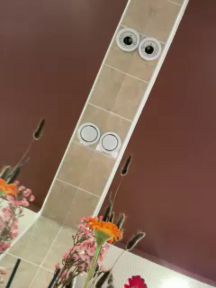 -Vaka-