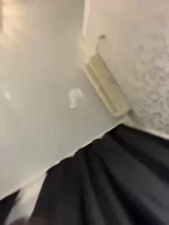 MiamiMur
