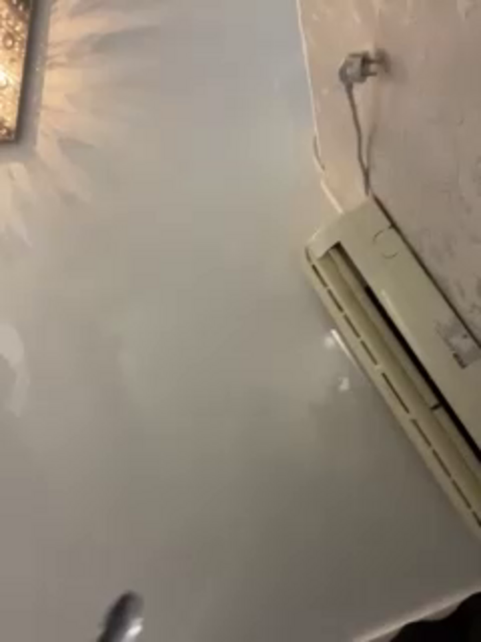 MiamiMur