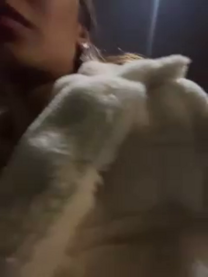TinyRouse