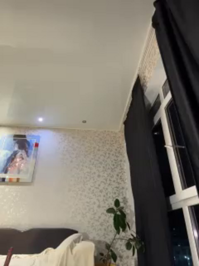 MiamiMur