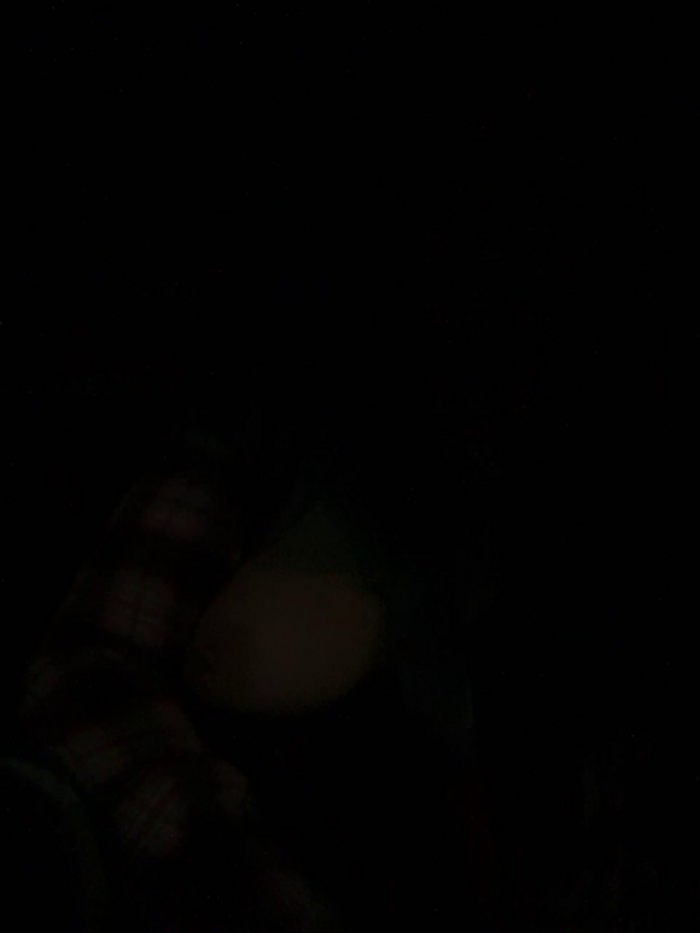 RoxyFoxNMollyDevine