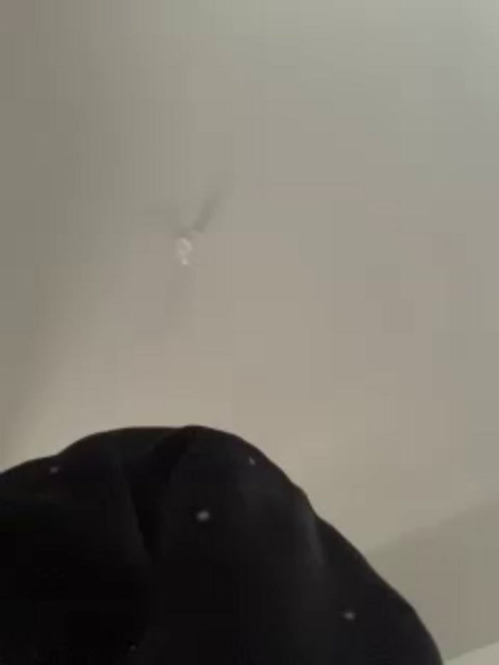 TinyRouse
