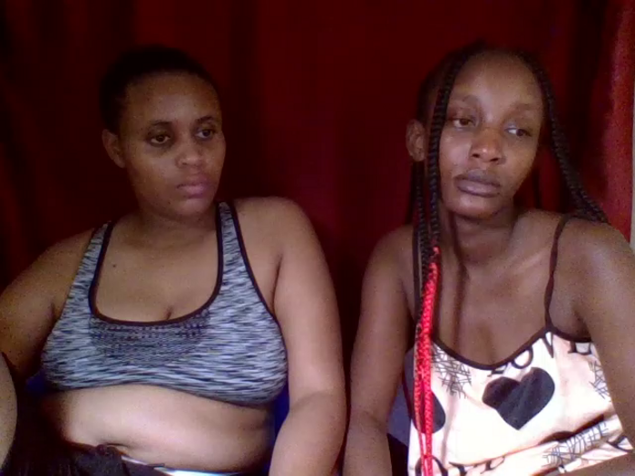 Brownysteppers