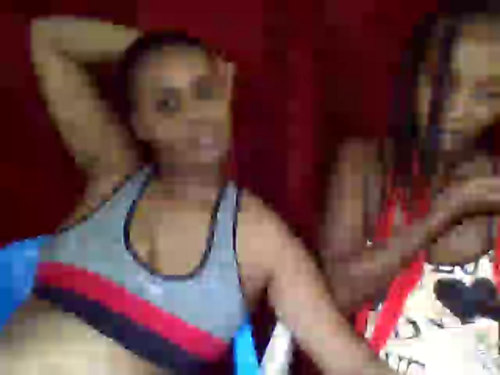 Brownysteppers
