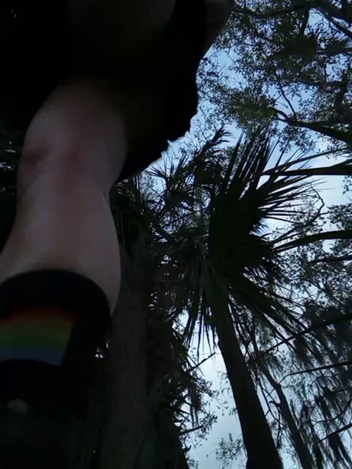 RoxyFoxNMollyDevine