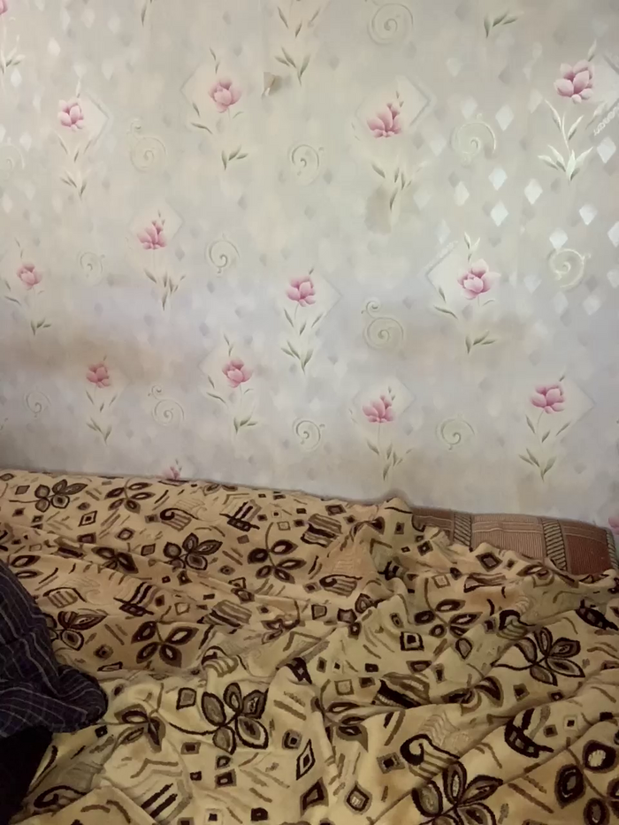 alyavass1