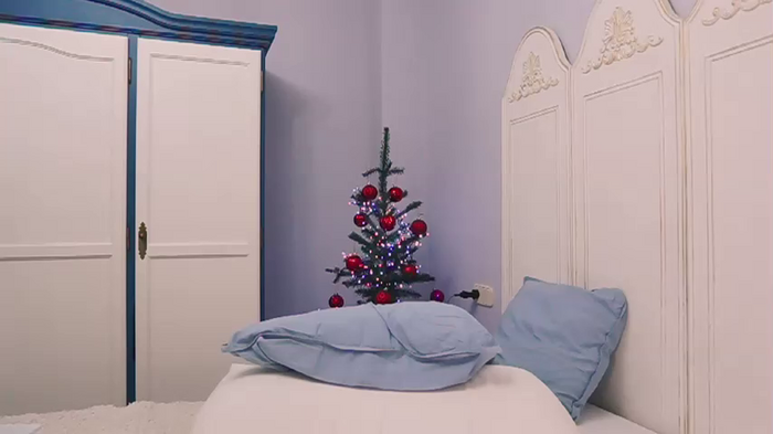 new1dee