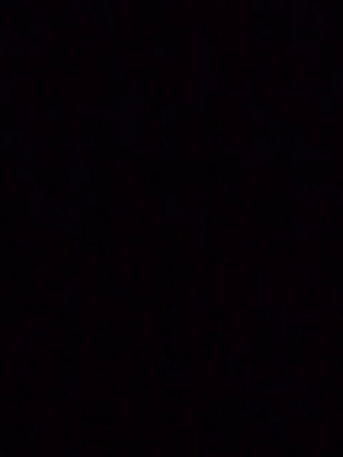 Virtvit