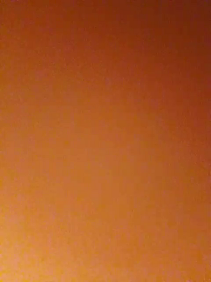 Virtvit