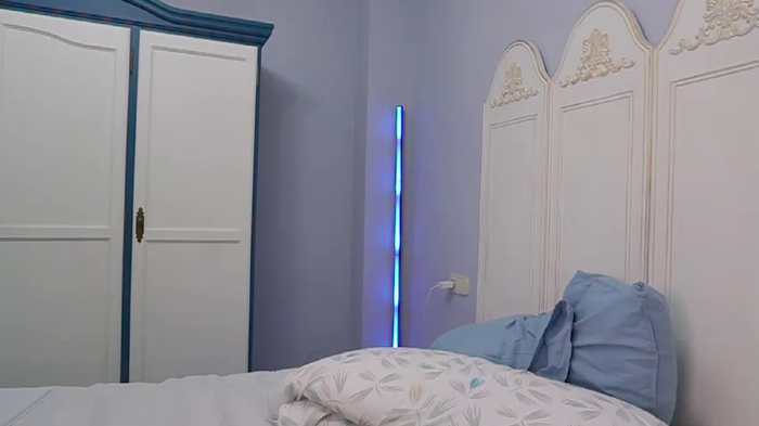 new1dee