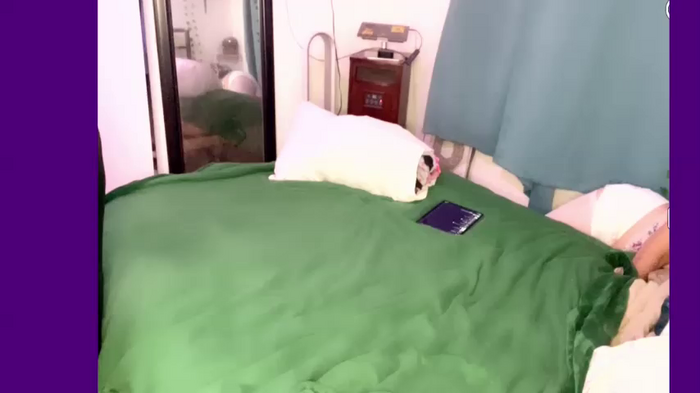 Mkky5baby