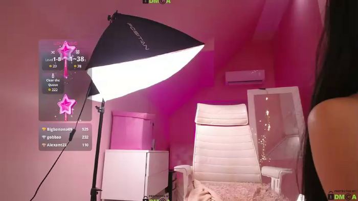 thecatt