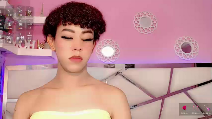 Vanessapiintoo