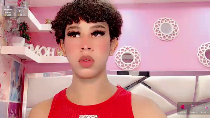 Vanessapiintoo