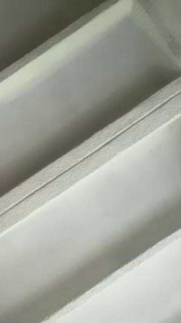 SallyeLeins