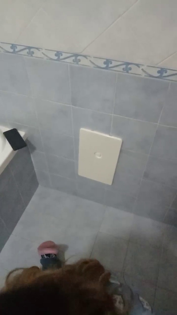Divertiamoci86