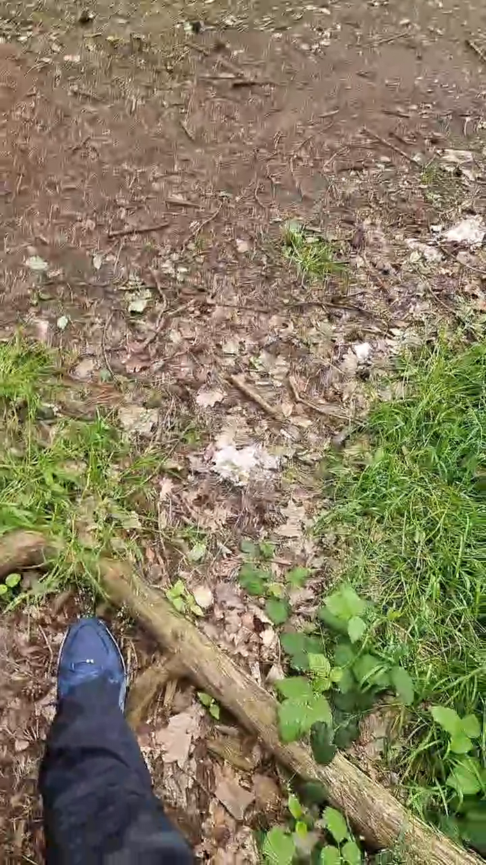 Outdoorgeil1