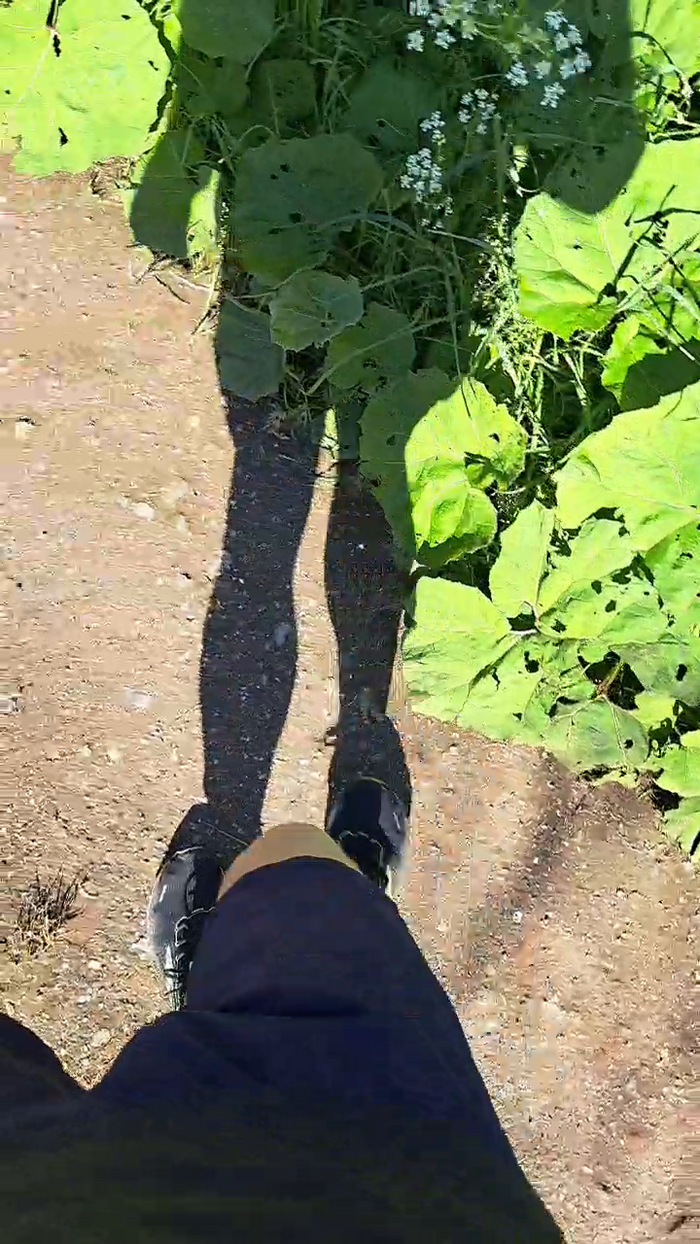 hotbody18y
