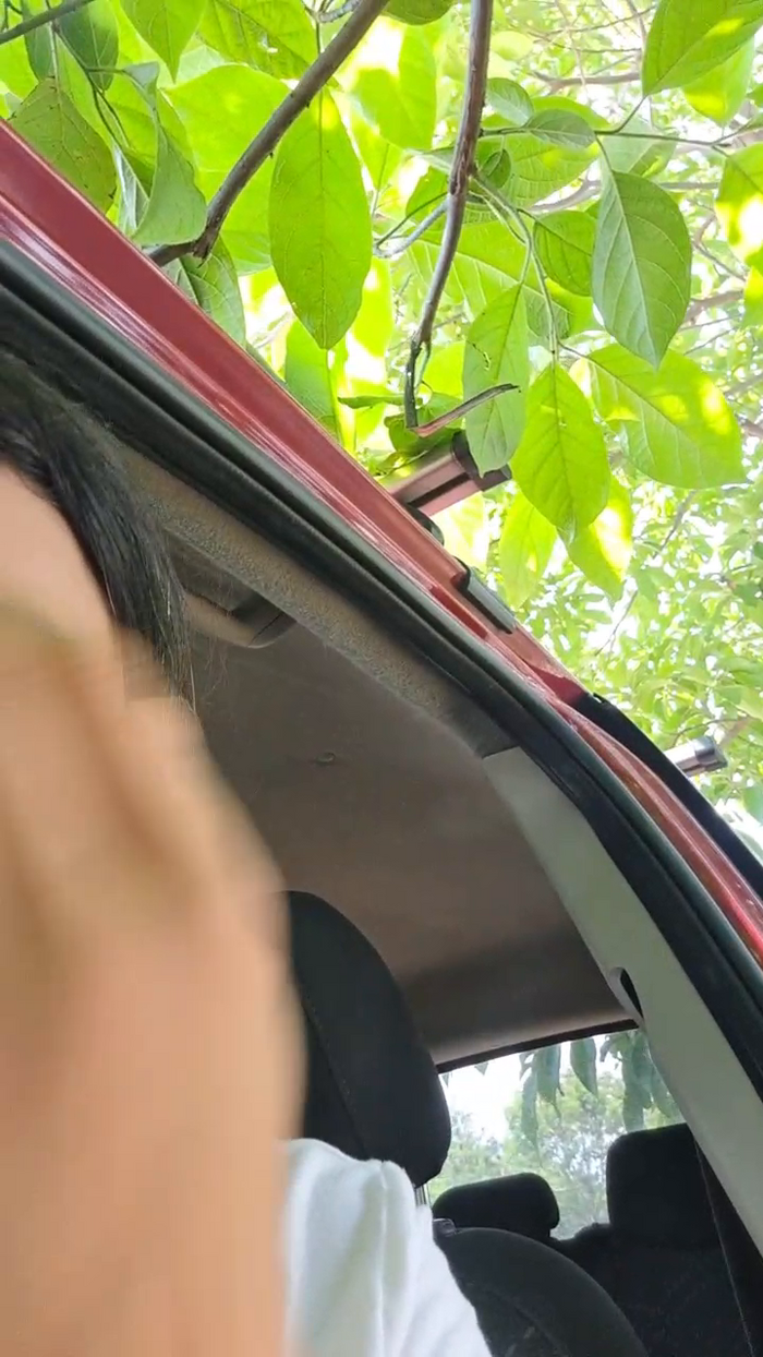 Tania__honey