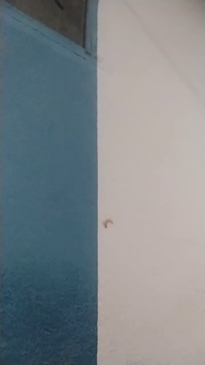 Jessica_45