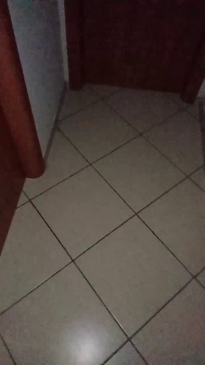 Divertiamoci86