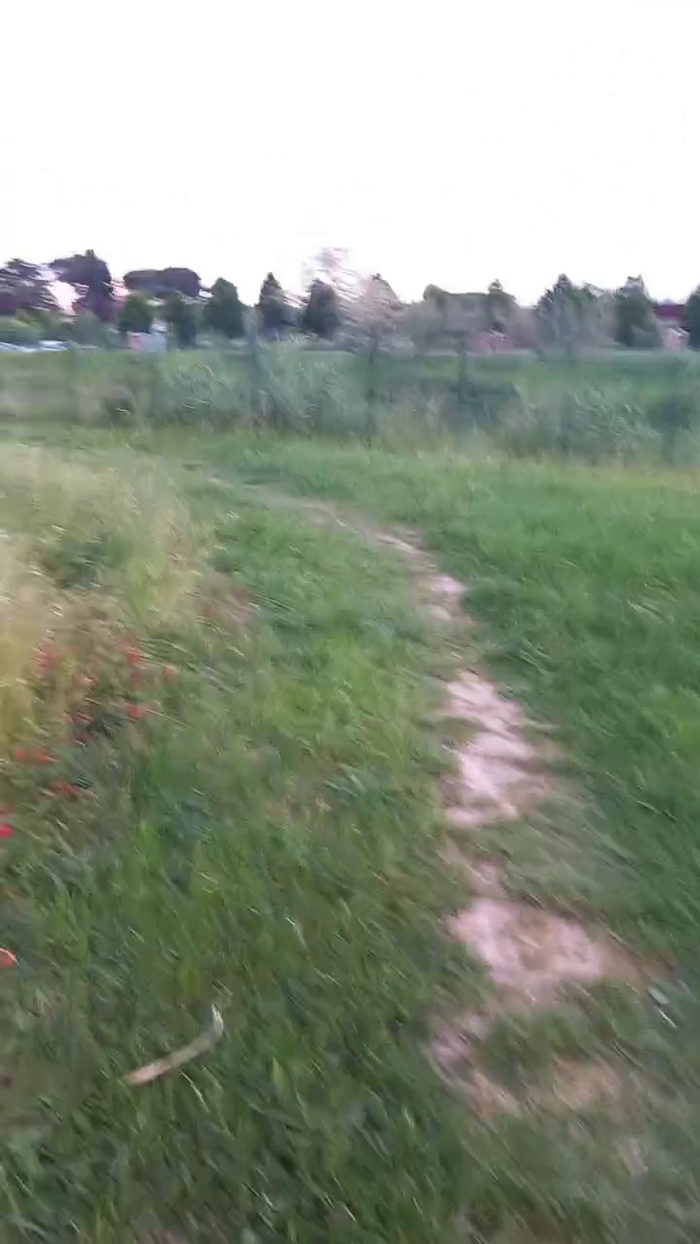 Magagna91