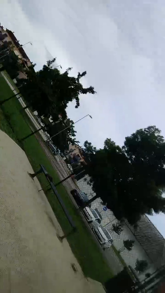 Magagna91
