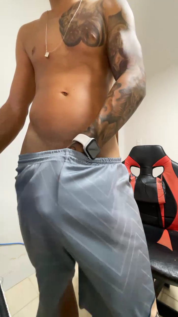 gato_dtado